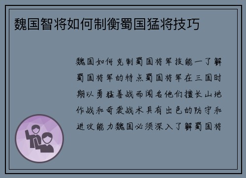 魏国智将如何制衡蜀国猛将技巧